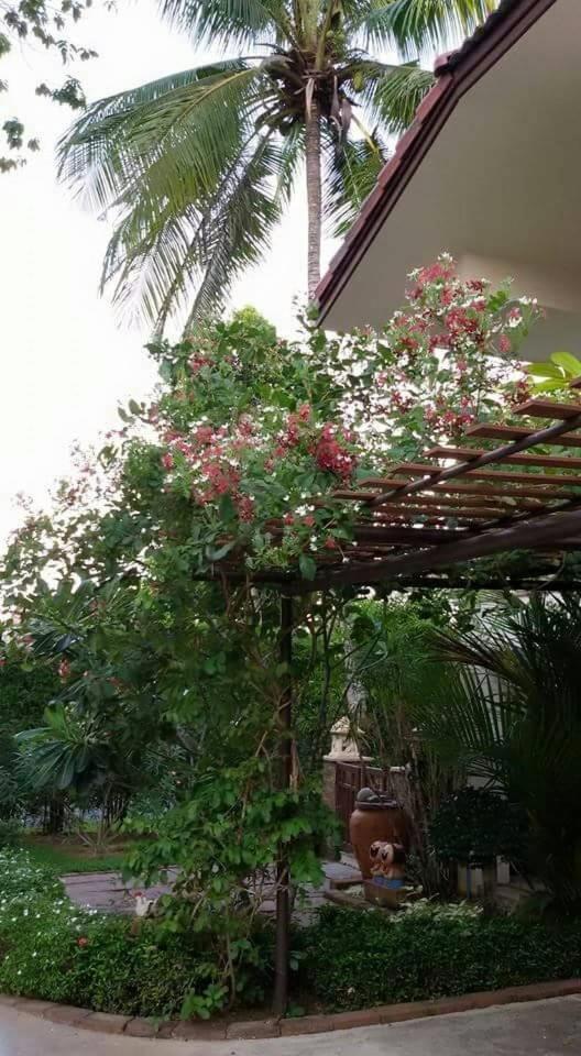 Periwinkle Villa Koh Chang Esterno foto